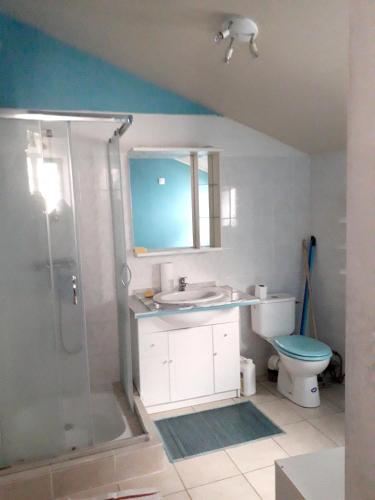 ein Bad mit einer Dusche, einem Waschbecken und einem WC in der Unterkunft Maison de 2 chambres a Clion in Clion