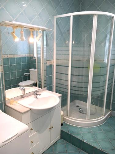 une salle de bain avec un lavabo, une douche et un miroir dans l'établissement Villa charmante à Tourrettes avec piscine privée, à Tourrettes
