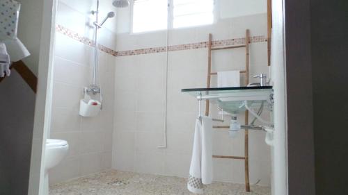 Phòng tắm tại Appartement d'une chambre avec jardin amenage et wifi a Petit Bourg