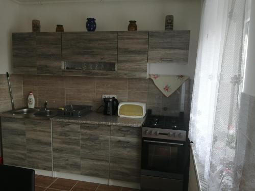 Kuchyň nebo kuchyňský kout v ubytování Tislerics Apartman