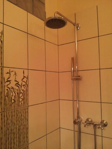 a shower with a glass door and a shower head at Studio along the Danube in Budapest