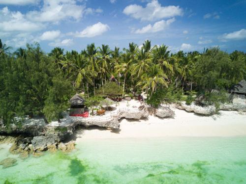 an aerial view of a beach with palm trees at COCO REEF ECOLODGE in Kizimkazi