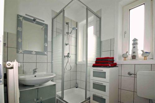 La salle de bains est pourvue d'une douche, d'un lavabo et d'un miroir. dans l'établissement Apartment Roock, à Wyk auf Föhr