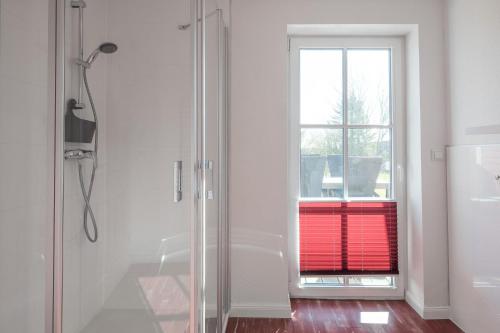 een badkamer met een douche en een raam bij Altes Schäferhaus in Nordstrand