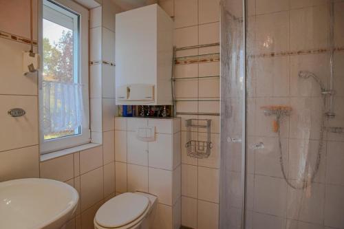 a bathroom with a shower and a toilet and a sink at Ferienhaus Bobby in Stahlbrode