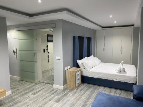 a bedroom with a bed and a walk in shower at Apartamentos Las 7 Esencias in Linares