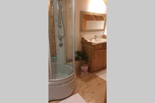 a bathroom with a shower and a sink at Appartement en face de la station - Chalet Lyse in Briançon