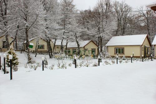 a snow covered yard with a house and trees at Selena in Qusar