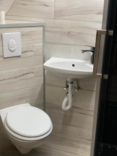 a bathroom with a toilet and a sink at Bürgerstüble in Donaueschingen