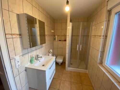 a bathroom with a sink and a shower and a toilet at Tokis Feriendomizil 2.0 in Bad Säckingen