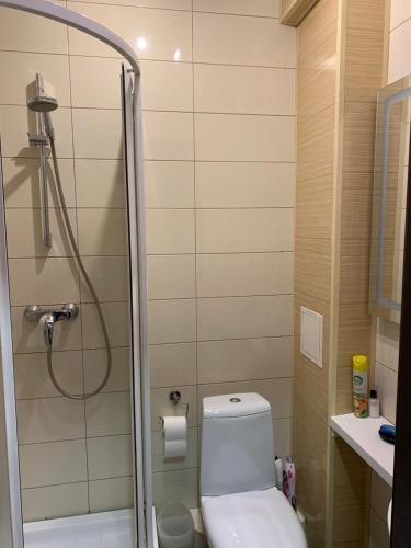 a small bathroom with a toilet and a shower at Квартира in Dnipro