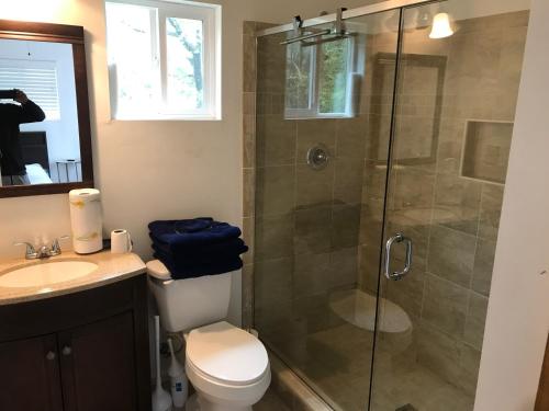 a bathroom with a shower and a toilet and a sink at Cozy Mother-in-Law Suite in Norfolk