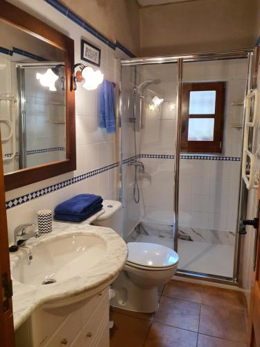 a bathroom with a shower and a sink and a toilet at Casa Templers in Horta de San Joan