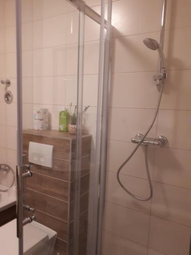 a bathroom with a shower with a toilet and a sink at An der Stadtmauer in Halberstadt