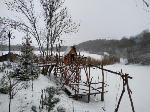 a wooden cabin in the snow with a christmas tree at Zelenaya Usad`ba StavBor in Zavadivka