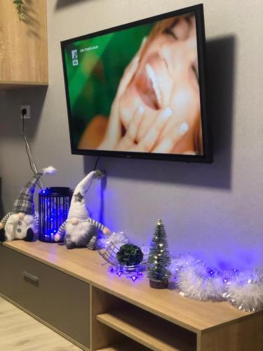 TV a/nebo společenská místnost v ubytování НОВАЯ КРАСИВАЯ квартира.