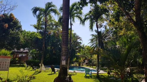 a resort with a swimming pool and palm trees at Samara Beach Hotel in Sámara