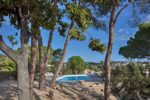 - une vue sur la piscine à travers les arbres dans l'établissement Villa campagne à Calvi piscine chauffée vue mer proche plage et centre, à Calvi
