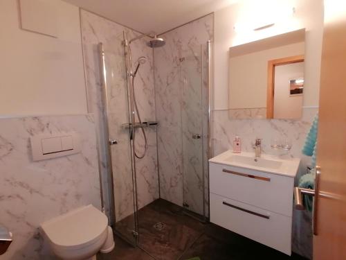 uma casa de banho com um chuveiro, um WC e um lavatório. em Haus Bergkristall em Samnaun