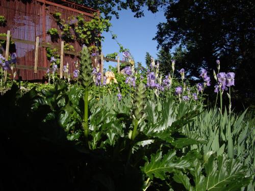 Un jardín fuera de La bastide de Mauragne - Gîte les Iris