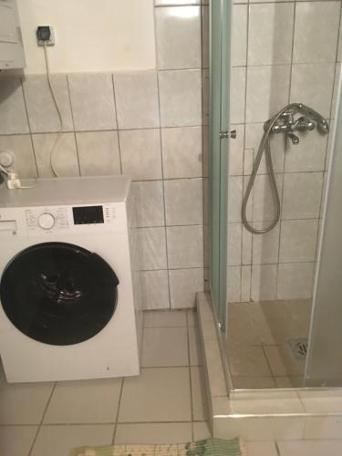a washing machine in a bathroom with a shower at Marika Vendégház in Mátraderecske