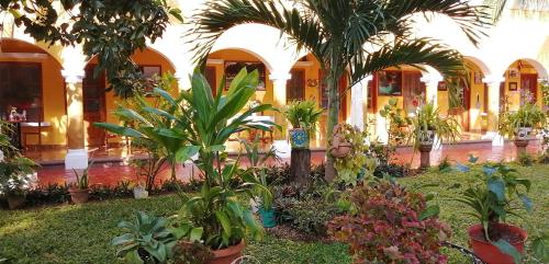 une cour avec des palmiers et des plantes dans un bâtiment dans l'établissement Casa Palagui Colonial, à Valladolid