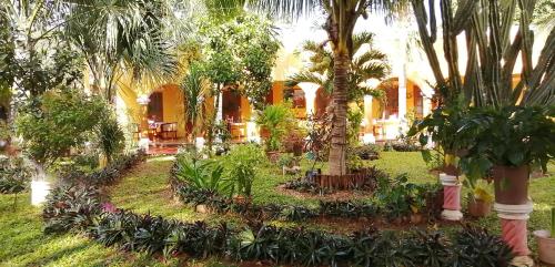 a garden with palm trees and plants at Casa Palagui Colonial in Valladolid