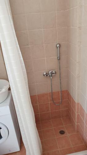 a shower in a bathroom with a shower at Agiassos Naxos Apartments in Agiassos