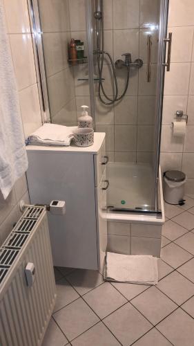 a bathroom with a shower and a toilet and towels at Ferienwohnung Käpt'n Pugs Kajüte auf Rügen in Göhren