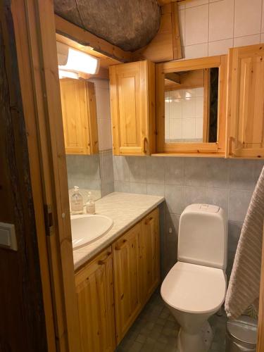 Koupelna v ubytování Levi Log Cabin - Viprakka 4A
