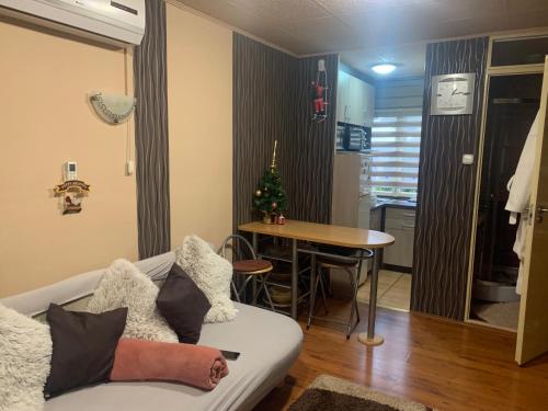 uma sala de estar com um sofá e uma mesa com uma árvore de Natal em Gunarasi villa jacuzzival em Dombóvár