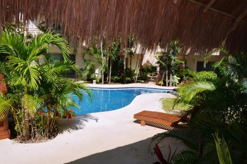 Piscina a Stay in Tulum! o a prop