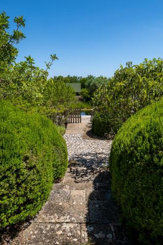 a path through a garden with green bushes at Altanure Casa Terra - Ecological Boutique Stay in Tavira