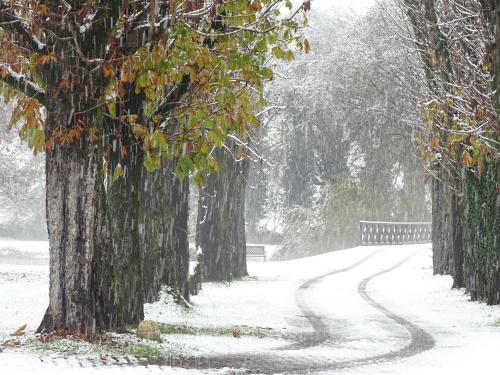 a snow covered path between two trees in a park at Corte Isolo in Goito