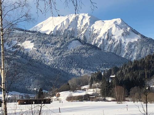 アパートメントから撮影された、または一般的な山の景色