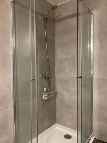 y baño con ducha y puerta de cristal. en Acogedor apartamento en La Molina, en La Molina