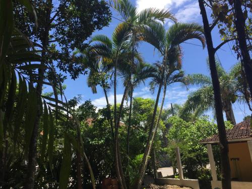 a group of palm trees in front of a house at Casa Mico Leão Dourado in Bombinhas