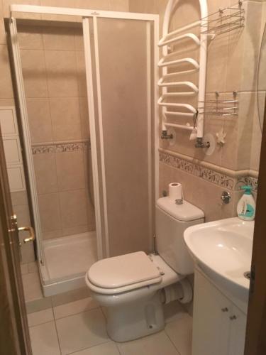 a bathroom with a shower and a toilet and a sink at Beautiful apartment in the center of Vinnytsia in Vinnytsya