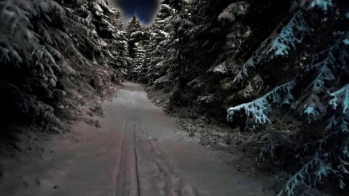 a snow covered road in a forest with snow covered trees at Ferienwohnung-direkt-am-Skihang mit Sauna in Kurort Oberwiesenthal