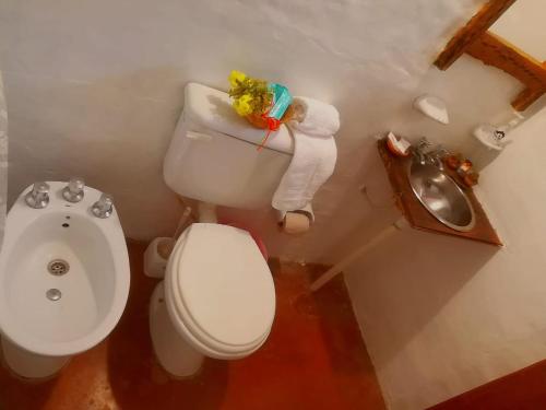 Un baño de Cabañas Paqa Paqa