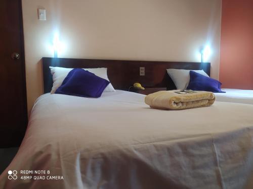 a large bed with blue and white pillows at Isabela Hotel in La Paz