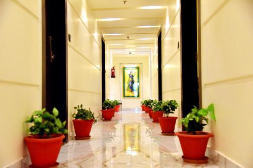 a hallway with a row of potted plants in a building at HOTEL VINAYAK in Lucknow