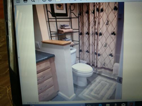 a small bathroom with a toilet and a sink at Nani Kai Hale in Kihei