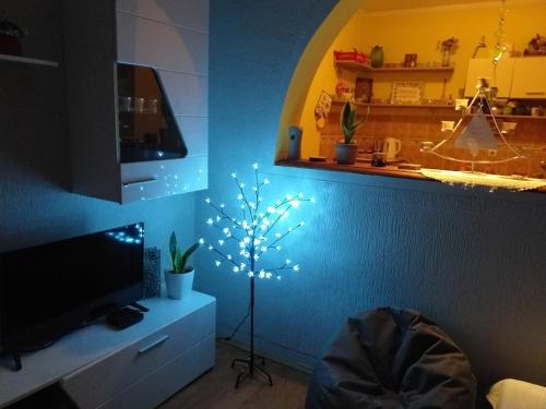 Dapur atau dapur kecil di Apartman Fenix
