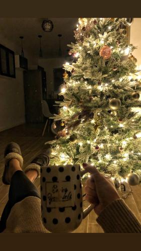 a person holding a dice in front of a christmas tree at Transylvania Mountain View CDI in Bran