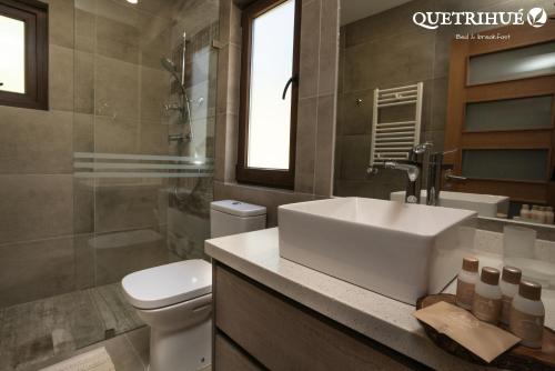 ein Badezimmer mit einem weißen Waschbecken und einem WC in der Unterkunft QUETRIHUE in Puerto Varas