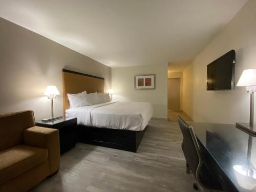 une chambre d'hôtel avec un lit et un canapé dans l'établissement University Inn of Carbondale, à Carbondale