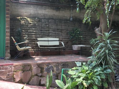 Casa del Retoñoにある庭