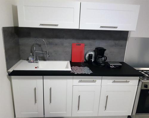 a kitchen with white cabinets and a sink and a red container at Gîte Santenay les Bains in Saint-Sernin-du-Plain
