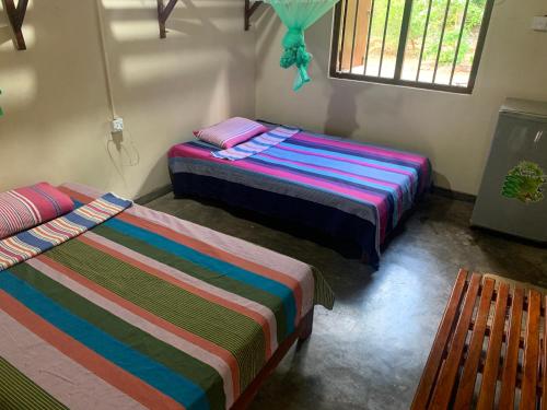 two beds sitting in a room with a window at Captain's Cottage at Yala in Kataragama